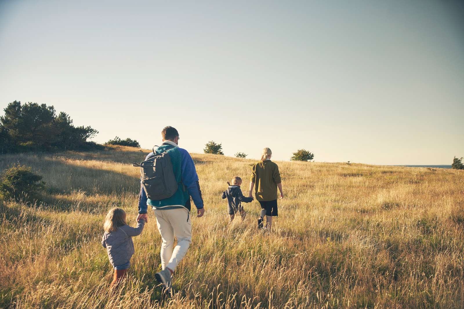 Landbrug, grøn omstilling, trepart og klimahandleplan